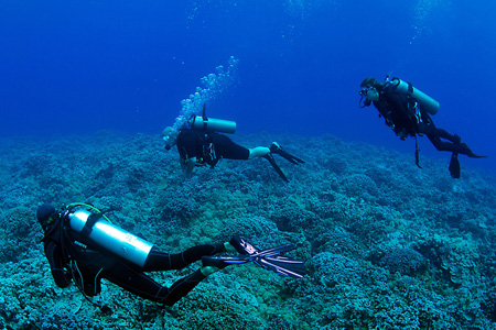 Maui Scuba Diving Tours