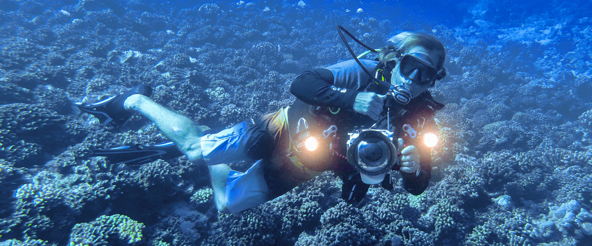 Hire a private guide to travel